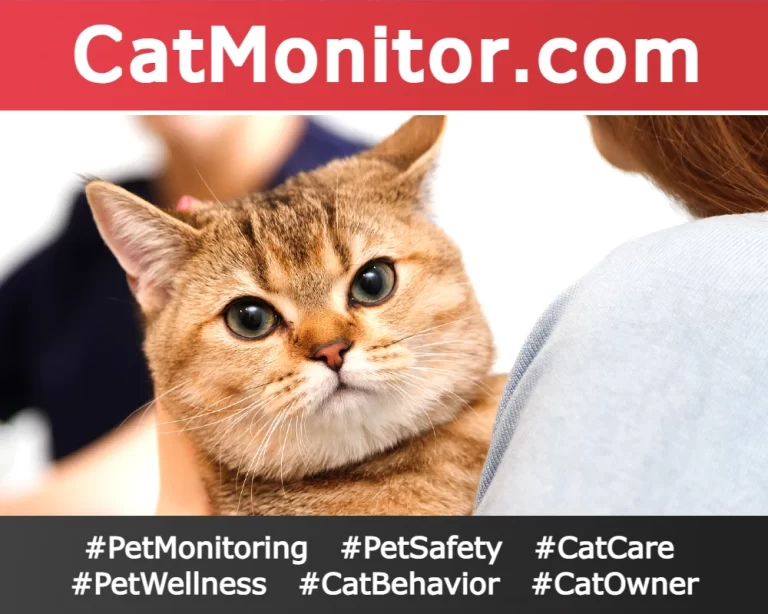 CatMonitor.com domain for sale